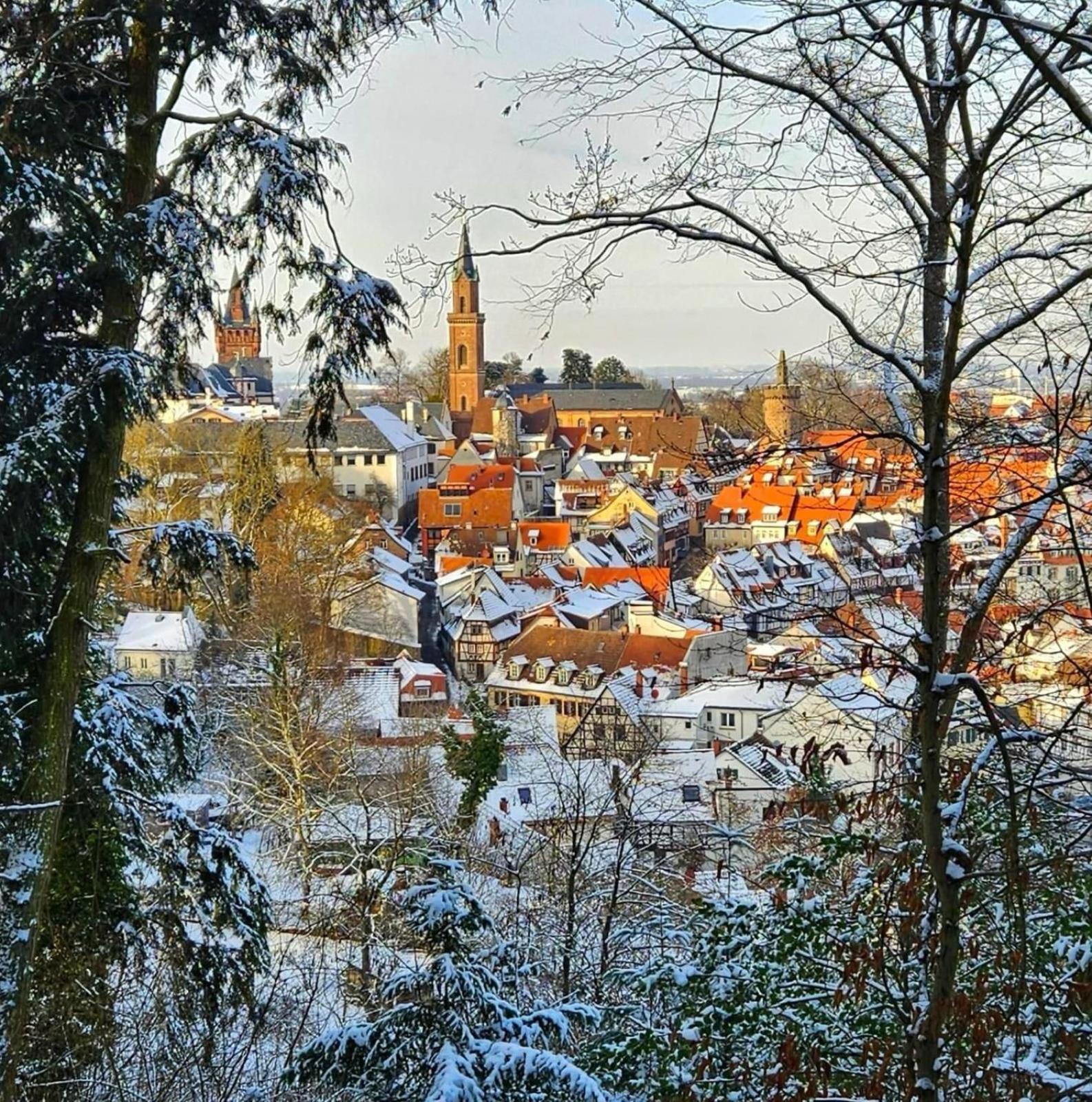 Hotel Hirschberg Hirschberg an der Bergstraße エクステリア 写真